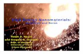 University of Illinois Urbana-Champaign Review Meeting/UIUC_Nuzzo_and... · 20 220 420 620 820 Temperature ºC Combustion o oron nanoparticles • Oxidations were performed in pure