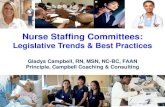 Nurse Staffing Committees - NJHA · patient care (quality and safety) was linked to ... Forum (NQF) 2004. The first 15 Nursing Sensitive Measures undergo extensive review, evaluation,