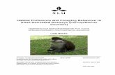 Habitat Preference and Foraging Behaviour in Adult Red-tailed …stud.epsilon.slu.se/337/1/bektic_l_090630.pdf · This diurnal and arboreal monkey (Butynski, 2002) exhibits peak activity