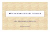 Protein Structure and Functionpredrag/classes/2008springi619/week2_w.pdf · • the paradox how proteins quickly fold into specific 3-D conformations is called a protein folding problem.
