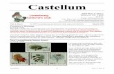 Vol. 1, No. 4 - March 1998lcc.luxcentral.com/pdf/1998-march.pdf · 2007. 6. 6. · Juvalux ’98—Postal History (3) Juvalux ’98 Souvenir Sheet—Ancient View of Luxembourg (sheet
