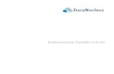 Datastores Guide (v5.0)...Table of Contents RDBMS Datastores ...
