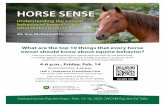 HORSE SENSE - University of Saskatchewan · HORSE SENSE Understanding the natural behavior of horses — and what makes them tick Dr. Sue McDonnell MS, PhD, CAAB Saskatchewan Equine