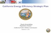 IEA EBC Annex 60 - California Energy Efficiency Strategic Plan2014-15 2008 - Organized by building type - Universal actions plans, PGT integration, measurable goals - Screened for