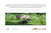 Conservation of the wildcat (Felis silvestris) in Scotland ... · Current plans for future wildcat conservation work 42 4. Evaluation of the conservation efforts for the wildcat in