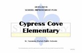 Cypress Cove Elementary · Cypress Cove Elementary 2018-2019 2 3/8/2019 1. COMPREHENSIVE NEEDS ASSESSMENT Provide outcomes of the school’s comprehensive needs assessment, as well