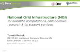 National Grid Infrastructure (NGI)€¦ · 3D reconstruction of tree forests from full-wave LiDAR scans • subsequent work • the goal: an accurate 3D reconstruction of tree forests