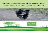 Dog Walkign Leaflet FINAL-web · Take only memories...leave only paw-prints Do follow requests on signs Do respect other visitors and keep your dog in sight Do protect nesting birds
