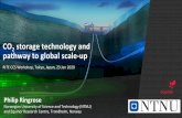 CO2 storage technology and pathway to global scale-up · 2043 and 12 Gtpa by 2050. Cumulative storage in 2050 would be 116 Gt. • Alternatively, five ‘Norway offshore well development’
