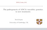 The pathogenesis of ANCA vasculitis: genetics to new ...saraacongress.org/wp-content/uploads/2019/03/11h00-11h40-_The... · •HLA DQ –Both •SERPINA1 encodes for alpha 1 anti-trypsin