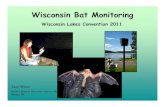 Wisconsin Bat Monitoring - UWSP · 2013. 8. 12. · churches, schools, or other buildings, please contact Wisconsin Bat Program at 608.266.5216 or dnrbats@wisconsin.gov Contribute