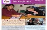 A U G U S T 2 0 1 3 The Grapevine I S S U E 1 0 · 2016. 2. 24. · A U G U S T 2 0 1 3 I S S U E 1 0 The Grapevine We at Tulgeen are mourning the loss of our dear friend Netty Brown,