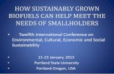 HOW SUSTAINABLY GROWN BIOFUELS CAN HELP MEET THE … · HOW SUSTAINABLY GROWN BIOFUELS CAN HELP MEET THE NEEDS OF SMALLHOLDERS • Twelfth International Conference on Environmental,