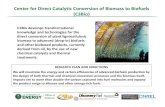 for Direct Catalytic Conversion of Biomass to Biofuels (C3Bio) Highlight Slides.pdfAtomic Modeling of Cellulose Microfibrils Scientific Achievement • Using 3D electron tomography