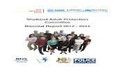 Shetland Adult Protection Committee Biennial Report 2012 ... · Appendix 6 – ASP Training Statistics – 01/04/2013 – 31/03/2014 Appendix 7 – APC Referral Statistics ... Executive
