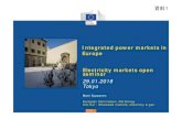 Integrated power markets in Europe Electricity markets ... · Energy • Different starting points: state monopolies, private monopolies, local and regional energy companies • Traded
