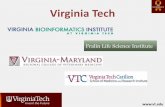 Virginia Tech · • Gap closure (affinity/primer design) • Gene prediction • Variation/allele discovery • Comparative genomics • GO analysis • Visualization • Data sharing