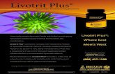 Livotrit Plus® - Viotron Plus-Viotron.pdfHistorically, certain Ayurvedic herbs and herbal combinations have been used to support normal liver function and maintenance. Livotrit Plus®