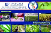 New Department of Entomology and Nematologydpm.ifas.ufl.edu/.../themes/dpmuf/docs/dpm_postcard.pdf · 2015. 8. 27. · Entomology and Nematology; Environmental Horticulture; Horticultural