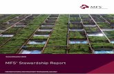 MFS Stewardship Report...This report provides a quarterly update of our ESG integration and stewardship activity that we hope offers our clients insights into our sustainable investing