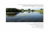 New Integrated Aquatic Vegetation Management Plan SAMMAMISH … · 2015. 1. 28. · this Integrated Aquatic Vegetation Management Plan (IAVMP). It is known that many other noxious