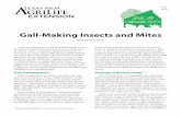 Gall-Making Insects and Mites...their relatives, willows and asters. The susceptibility of plant species varies. Some plants support only one or two species, while others, such as