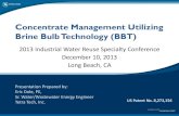 Concentrate Management Utilizing Brine Bulb Technology (BBT)rmwe/docs/BBT_092613_TT... · SO4 1.00 20.16 -1916% 1.0000 mg/L BBT TM Removal Efficiencies (ALPHA Prototype) - Demo conducted