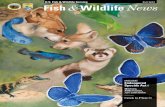U.S. Fish & Wildlife Service Fall 2013 Fish Wildlife News · 2 / Fish & Wildlife News Fall 2013 staff started looking for volunteers. Recruitment for volunteer artists started at