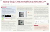 #5957 Modulation of VAMPIRE retinal vasculature analysis ... · James R. Cameron, Lucia Ballerini, Clare Langan, Claire Warren, Nicholas Denholm, Katie Smart, Tom J. MacGillivray