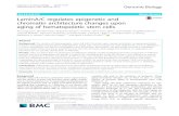 LaminA/C regulates epigenetic and chromatin architecture ... · Keywords: Hematopoietic stem cell (HSC), Aging, Chromatin architecture, LaminA/C, Chromosome 11 Background Somatic