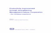 Productivity Improvement through strengthening …...6.3 Objectives and framework of the Productivity Improvement Programme 70 6.4 Challenges and constraining factors 75 6.5 Enabling