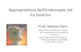 Appropriatezza dell’Endoscopia nel Ca Gastrico · –Endoscopy in precancerous condition (atrophic gastritis and metaplasia/dysplasia) •At Endoscopy –superficial neoplastic