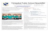 Email: caragabal-p.School@det.nsw.edu.au Principal: Judith ...€¦ · your account Stamps, post packs and parcel posting is available at the PO Agency Caragabal. Mail must be posted