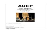 AUEP - Akita U · Nikken-sei & Exchange Students Advanced Writing a paper; Required to have finished Independent Study IA in advance Less than 6 Independent Study for International