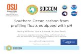 Southern Ocean carbon from profiling floats equipped with pH€¦ · Carbonate Chemistry Review Four measurable variables: 1. Total Alkalinity (TA)2. Total Dissolved Inorganic Carbon