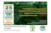 ITTO Thematic Programme on Reducing Deforestation and ......2011/02/16  · ITTO experience 25-yearof experienceinSFM, conservationand forest restoration linking policy work with field