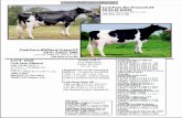 Cook Farm - Registered Holsteins, Jerseys and Flayvors Restaurantcookfarm.com/images/Cobelskill_Lot66_2017.pdf · 2017. 4. 19. · Fashions Cook-Farm Roy Freestyle-ET EX.93.2E EEEEE