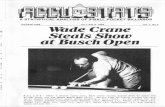 A STATISTICAL ANALYSIS OF 9-BALL POCKET BILLIARDS Wade … · player's disposal. At the tournament site was a restaurant, bar, and pool tables for open play. The tournament arena