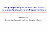New Bioprospecting of Genes and Allele Mining: Approaches and … · 2012. 3. 28. · Bio-prospecting of Genes • Genes are the functional hereditary units in our chromosomes. •