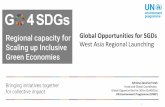 Regional capacity for Global Opportunities for SGDs ... · 5 Partners and over 12 Global Initiatives Climate and Biodiversity Solutions for the 2030 Agenda Menu of Services Advocacy