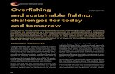 New Overfishing - Ocean & Climate Platform · 2020. 1. 8. · 63 ocean-climate.org feeders and some pelagic predators declined by a factor of 5 to 10 over the 20 th century (Christensen