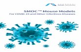 New SMOC™ Mouse Models · 2020. 5. 9. · Cat. NO. NM-TG-00003 Background B6.Cg Mutation Type Transgene Strain Name H11-(Alb-NTCP-C9 tag-IRES-EGFP) Cat. NO. NM-KI-200054 Background