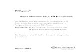 PAXgene Bone Marrow RNA Kit Handbook - PreAnalytiX€¦ · Buffer BMR5 (Elution Buffer) 5 ml : Buffer BMR Wash (bottle) 2 x 125 ml Proteinase K (green lid) 1.4 ml : PAXgene RNA Spin