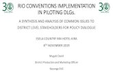 RIO CONVENTIONS IMPLEMENTATION IN PILOTING DLGs.enr-cso.org/wp-content/uploads/2020/01/...Plantation agriculture practices-sugarcane and tree plantations. 18. Increased incidence and