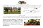 News and Views – April-June ’2010 property in North Goa ...€¦ · News and Views – April-June ’2010 We would like to start this newsletter with the splendid news that Sangath