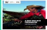 A DEEP DIVE INTO FRESHWATER€¦ · DEEP DIVE: FRESHWATER 1 LIVING PLANET REPORT 2020 A DEEP DIVE INTO FRESHWATER. ... (see page 12) and IUCN Red List data. The Ataturk hydro electric