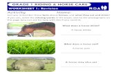 GRADE 1 RIDING & HORSE CARE - My RDA€¦ · GRADE 1 RIDING & HORSE CARE . WORKSHEET 2: Revision Where does a horse live? A horse lives in a _____ Where else might a horse live? A