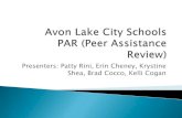 Presenters: Patty Rini, Erin Cheney, Krystine Shea, Brad ... · weekly for their own book review using Marzano’s Art and Science of Teaching (Consultant attends and provides feedback/assistance)