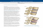 Vertebroplasty & Kyphoplasty · 2018. 12. 14. · Vertebroplasty and kyphoplasty will not improve old and chronic fractures, nor will they reduce back pain associated with poor posture