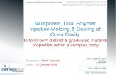 Multiphase, Dual Polymer Injection Molding & Cooling of Open … · 2009. 12. 1. · Research & Development, FEA, CFD, Material Selection, Testing & Assessment Multiphase, Dual Polymer